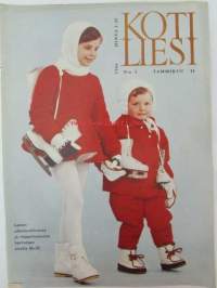 kotiliesi 1966 nr 2  tammikuu 1966 -mm. Näin romanssien aikaan, Käyttövesi ja viemäröinti maaseudulla, Näin etelään tavallisesssa saksalaisessa kodissa,