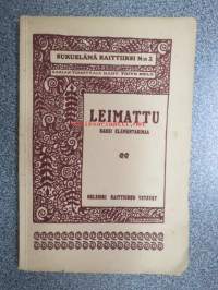 Leimattu - Sukuelämä raittiiksi nr 2