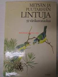Metsän ja puutarhan lintuja 55 värikuvatauluja