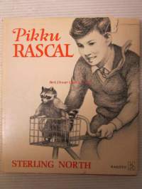Pikku Rascal