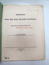 Beschreibung Neuer oder Wenig Bekannter Blattwespen aus dem Gebiete der Preussischen Fauna von Dr. Gustav Zaddach, Königsberg, 1859 -tieteellinen tutkielma, 1