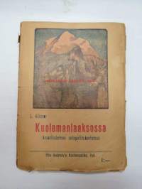 Kuolemanlaaksossa - Amerikalainen salapoliisikertomus -alkuperäinen sidos värikannella -detective story