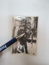 Karjalan koivu? -valokuva / photograph