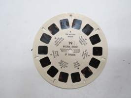 View-Master 79 Natural Bridge of Virginia, USA -reel / kuvakiekko