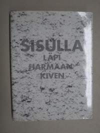 Sisulla läpi harmaan kiven - Luja-yhtiöt 1953-1993 (Lujabetoni Oy)