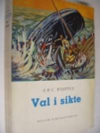 Val i sikte