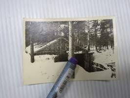 Korsu -