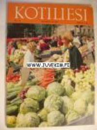 Kotiliesi 1967 nr 16 Elokuu 1967 ajankuvaa . Kotilieden jatkotarina Hannu , Matti ja isä. Kuitulevy rakennusaineena.