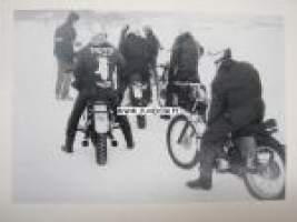 Jarno