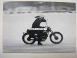 Jarno