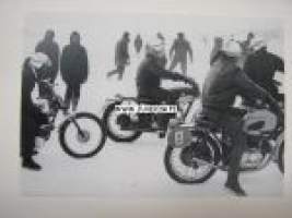 Jarno