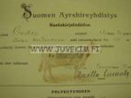 Suomen Ayrshireyhdistys Lehmä 