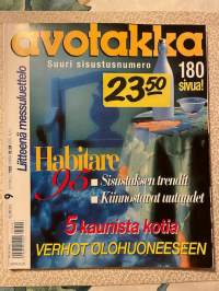 Avotakka 1995 nr 9, Habitare 95, Pauli Vuorisalo maalaa kaukana kaikesta
