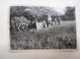 Teltta -saksalainen sotilasvalokuva