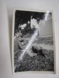 Rento-Reino -suomalainen sotilasvalokuva