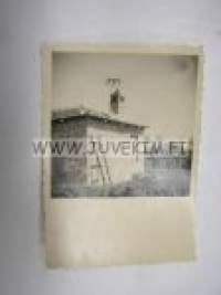 Turistihommaa -saksalainen sotilasvalokuva