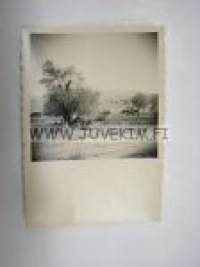 Turistihommaa -saksalainen sotilasvalokuva