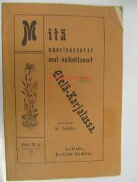 Mitä nuorisoseurat ovat vaikuttaneet Etelä-Karjalassa