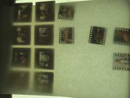 Eroottinen valokuvasarja, 13 diakuvaa, hankittu kansainvälisiltä kuvatoimistoilta käytettäväksi kotimaisten miestenlehtien artikkelien / juttujen kuvituksena