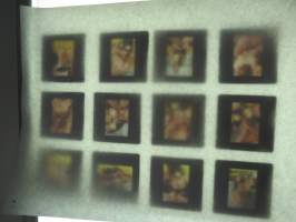 Eroottinen valokuvasarja, 12 diakuvaa, hankittu kansainvälisiltä kuvatoimistoilta käytettäväksi kotimaisten miestenlehtien artikkelien / juttujen kuvituksena