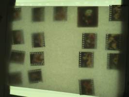 Eroottinen valokuvasarja, 16 diakuvaa, hankittu kansainvälisiltä kuvatoimistoilta käytettäväksi kotimaisten miestenlehtien artikkelien / juttujen kuvituksena