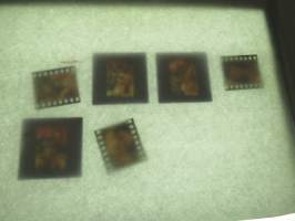 Eroottinen valokuvasarja, 6 diakuvaa, hankittu kansainvälisiltä kuvatoimistoilta käytettäväksi kotimaisten miestenlehtien artikkelien / juttujen kuvituksena