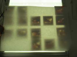 Eroottinen valokuvasarja, 15 diakuvaa, hankittu kansainvälisiltä kuvatoimistoilta käytettäväksi kotimaisten miestenlehtien artikkelien / juttujen kuvituksena