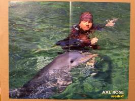 Axl Rose, Melrose Place - Amy Locane - Suosikki-lehden juliste