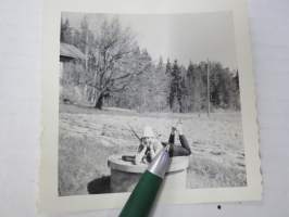 Kaivonkansineito II -valokuva