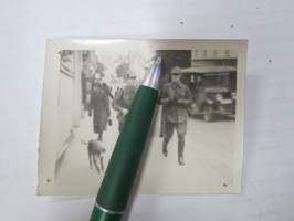 Katukuva, sotilaat kivääreineen + ajokoira -valokuva