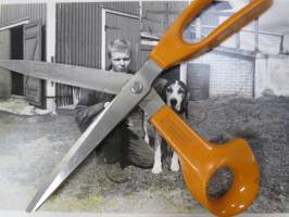 Postikortti ja peili, elokuvan promootiokuva -valokuva