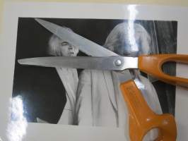 Da Capo (Tarmo Manni), elokuvan promootiokuva / lehdistömateriaalia -valokuva