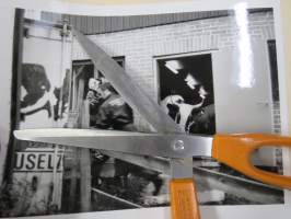 Eläinpakolaiset, elokuvan / dokumentin / sarjan promootiokuva / lehdistömateriaalia, YLE -valokuva