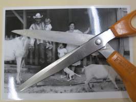 Francinin koulupuku, elokuvan / dokumentin / sarjan promootiokuva / lehdistömateriaalia, YLE-valokuva