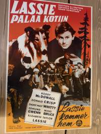 Lassie palaa kotiin -elokuvajuliste