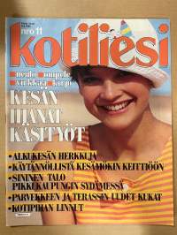 Kotiliesi 1986 nr 11, Tämä on minun ammattini - Arto Pollari, Jukka Kesänen, Virve Väisänen, Sari Aatolainen, Sininen talo Skatalla