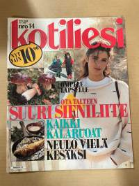 Kotiliesi 1986 nr 14, Sirkka Seljan Villiruusu, kulkureitit Nelostiellä, Kuopio, liemimalja