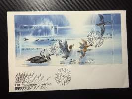 20.6.1993 FDC -kirje / ensipäivänkuori