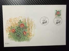 5.5.1994 FDC -kirje / ensipäivänkuori