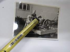 Puutarhajyrsin -valokuva