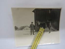 Hevosposeeraus -valokuva