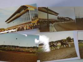 Solvalla 1977? ravit  -valokuvaerä 14 kuvaa