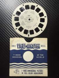 View-Master 291 – California Wild Flowers -reel / kuvakiekko