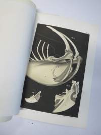 Kritik der allgemein angenommen Deutung der Furcula bei den Vögeln von E.J. Bonsdorf -eripainos 1869 -lintuihin liittyvä tieteellinen tutkielma, 4 liitekuvaa