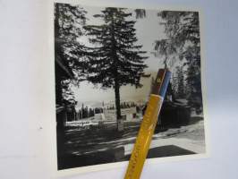 Puijon kesätetteri, Kuopio, 29.7.1965 -valokuva