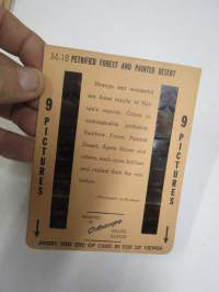 Petrified Forest and Painted Desert - Colorscope -katselulaitteen kuvasarja