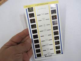 A Gata Borralheira Lestrade PO 151 -katselulaitteen kuvasarja