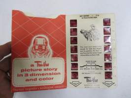 Roy Rogers in Three-to-One Odds T-16 - Tru-Vue -katselulaitteen kuvasarja