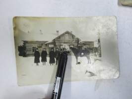 Talon ylpeys - Hevonen -valokuva