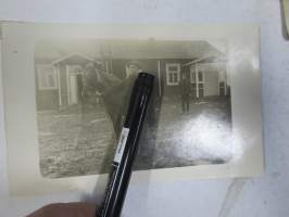 Talon ylpeys - Hevonen -valokuva